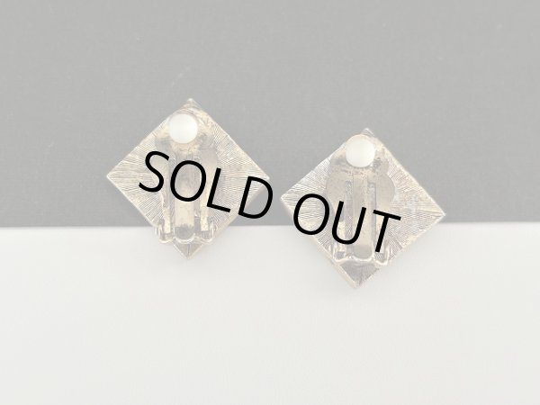 画像4: アニマル柄 イヤリング USA (4)